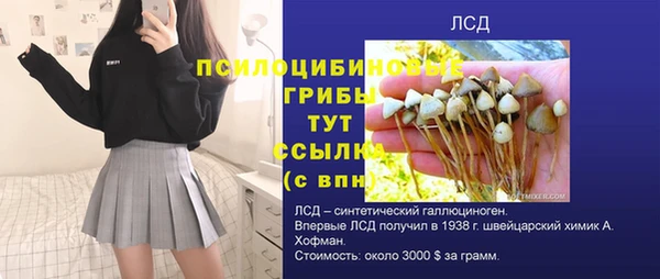 мяу мяу мука Вяземский