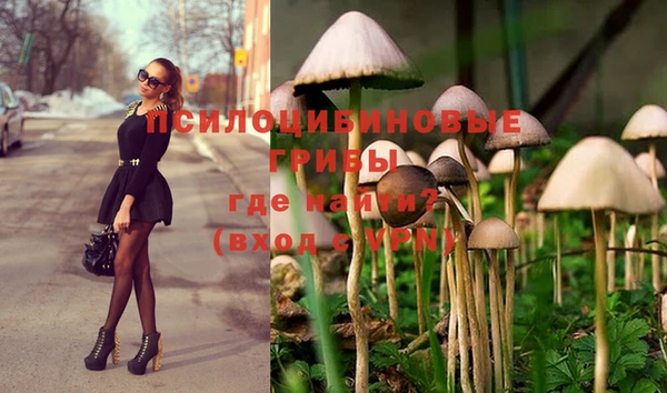 мдпв Вязьма