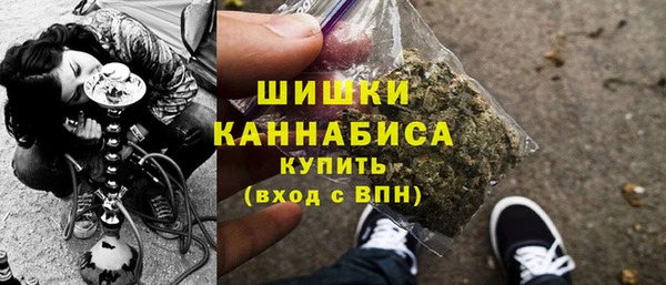 мдпв Вязьма