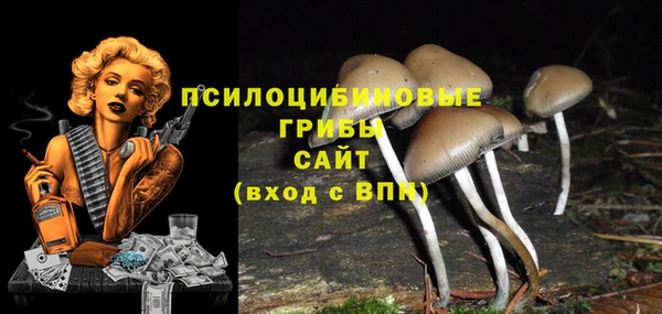 герыч Вязники