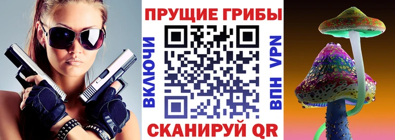 kraken ССЫЛКА Одинцово Псилоцибиновые грибы Magic Shrooms